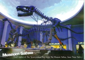 Copy (2) of scan0026