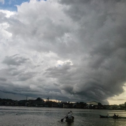 6. Sungai Kapuas - Madu