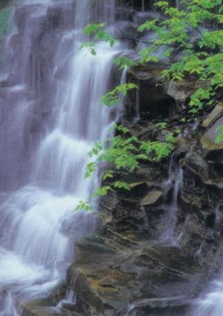 63585265b3278a92deffdb5265941fc6