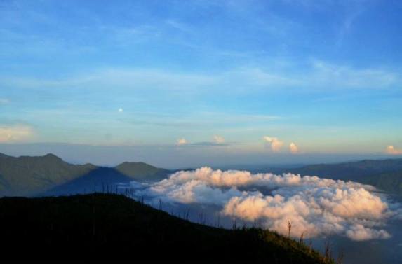 11216837_1103987672997706_6170360463679194153_n