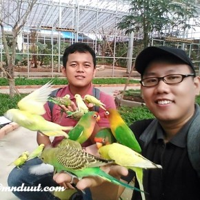 Serunya Diserbu Burung di Palembang Bird&nbsp;Park