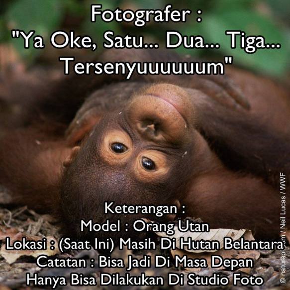 11873510_10206670437373310_6409138637105727044_n