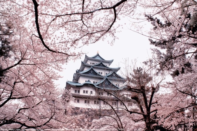 amazing-castle-nagoya