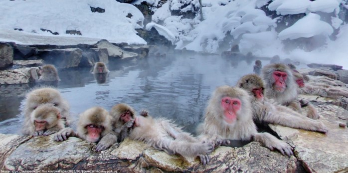amazing-cultures-onsen-aka-jigokudani