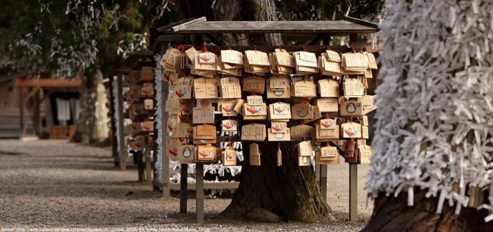 amazing-temple-izumo-taisha