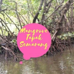 Pesona Mangrove Tapak&nbsp;Semarang