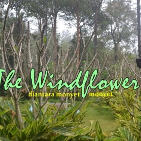 Pengalaman Dikepung Monyet di The&nbsp;Windflower