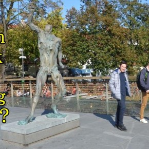 Kenapa Kapok Jalan Bareng&nbsp;Teman?