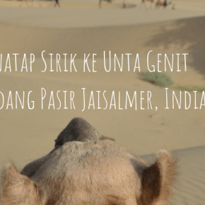 Menatap Sirik ke Unta Genit di Padang Pasir Jaisalmer,&nbsp;India