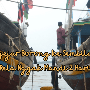 Mengejar Burung ke Sembilang: Rela Nggak Mandi 2&nbsp;Hari!